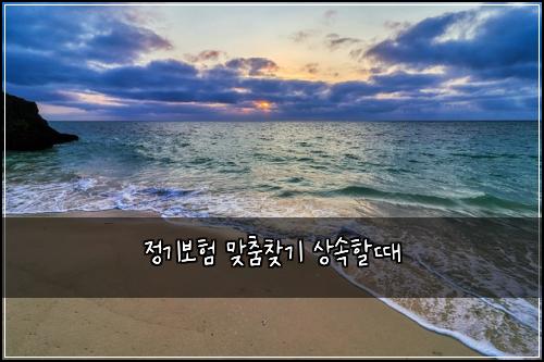 정기보험 맞춤찾기  상속할때