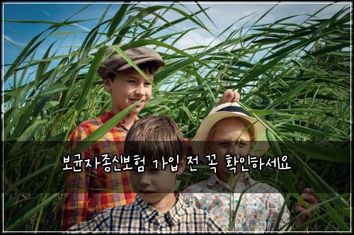 보균자종신보험 가입 전 꼭 확인하세요