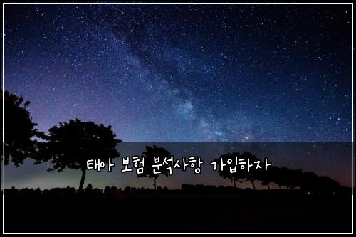 태아 보험 분석사항  가입하자