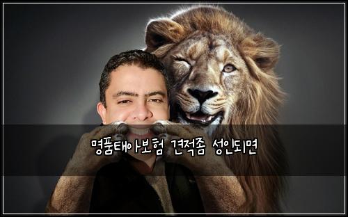 λͺ
ννμ보ν 견μ μ’ μ±μΈλλ©΄