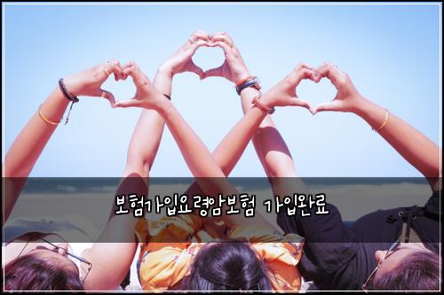 보νκ°μ
μλ Ήμ보ν κ°μ
μλ£