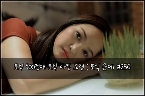 토익 900점대 토익 마킹 요령 : 토익 문제 #256