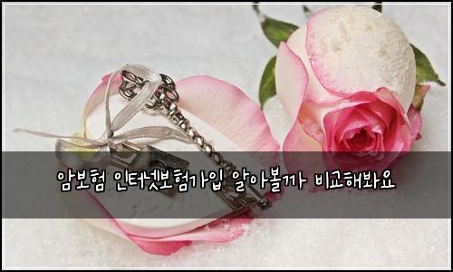 ์๋ณดํ ์ธํฐ๋ท๋ณดํ๊ฐ์
์์๋ณผ๊น ๋น๊ตํด๋ด์