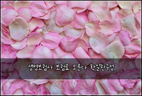 ์๋ช
๋ณดํ์ฌ ๋ณดํ๋ฃ ์ค๋ฅธ๋ค ํ์คํ๊ตฌ์ฑ