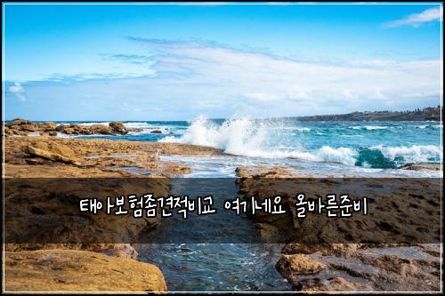νμ보νμ’견μ λΉκ΅ μ¬κΈ°λ€μ μ¬λ°λ₯Έμ€λΉ