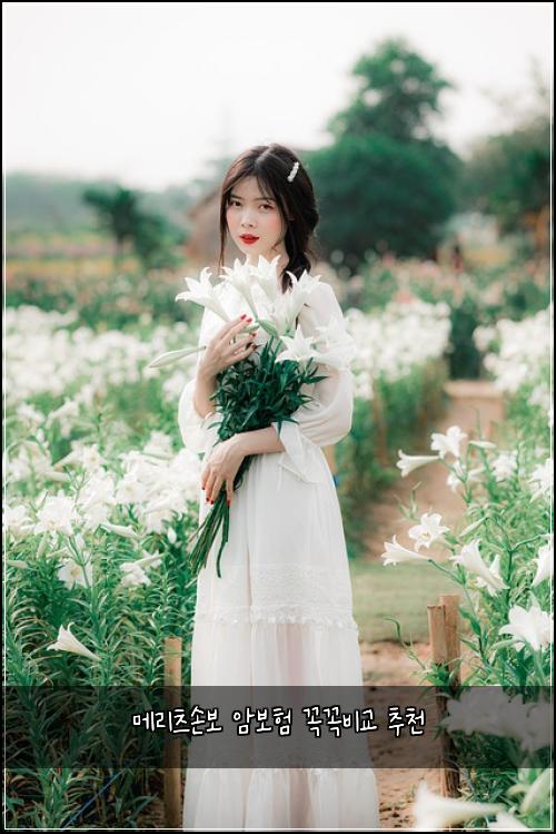 ๋ฉ๋ฆฌ์ธ ์๋ณด ์๋ณดํ ๊ผญ๊ผญ๋น๊ต ์ถ์ฒ