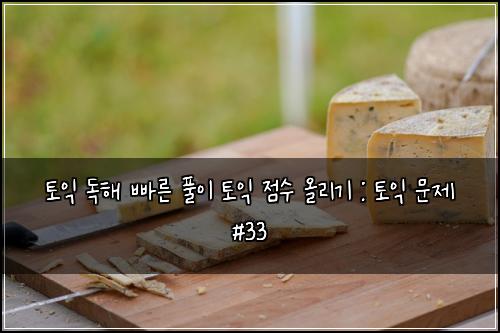 토익 독해 빠른 풀이 토익 점수 올리기 : 토익 문제 #33