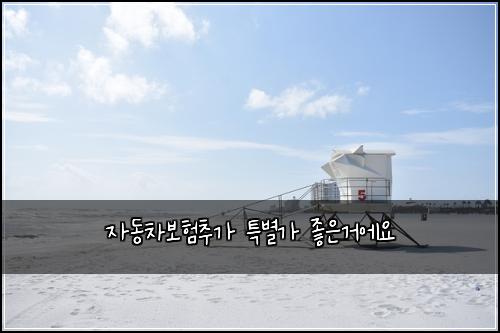 ์๋์ฐจ๋ณดํ์ถ๊ฐ ํน๋ณ๊ฐ ์ข์๊ฑฐ์์
