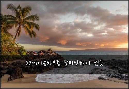 22세자동차보험 잘파악하자  싼곳