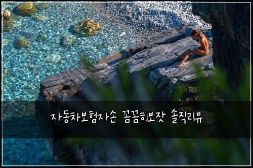 자동차보험자손 꼼꼼히보잣 솔직리뷰