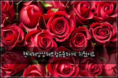 현대해상상해보험유용하게 쉬웠어요