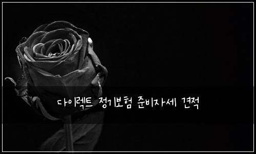 다이렉트 정기보험 준비자세  견적