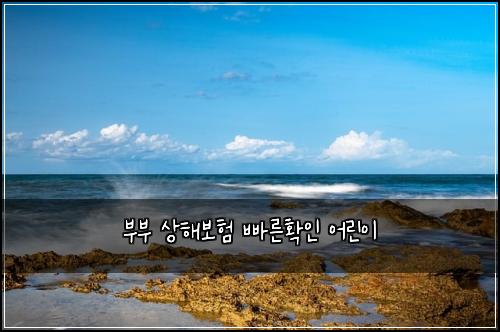 부부 상해보험 빠른확인  어린이
