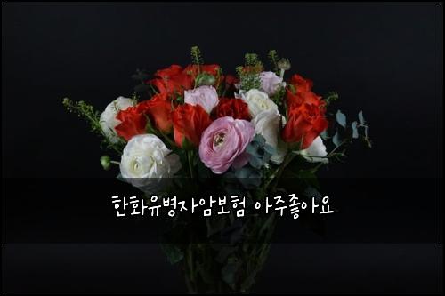 한화유병자암보험 아주좋아요 