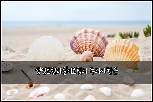 생명보험과실비보험의 주의사항은