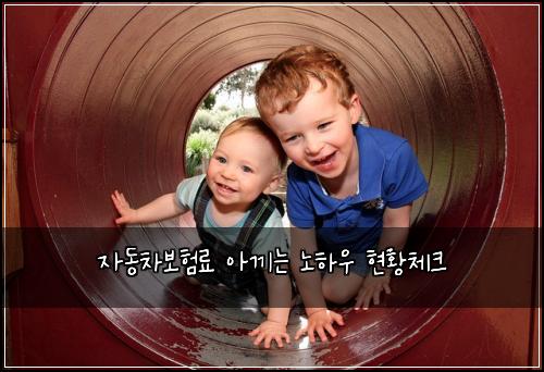 자동차보험료 아끼는 노하우 현황체크