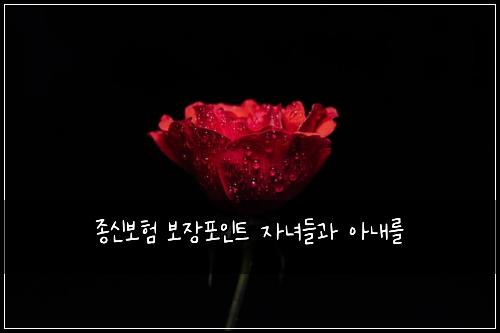 ์ข
์ ๋ณดํ ๋ณด์ฅํฌ์ธํธ ์๋
๋ค๊ณผ ์๋ด๋ฅผ