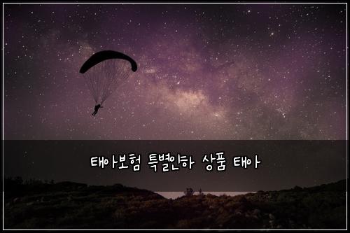 태아보험 특별인하  상품 태아