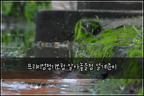 프리미엄정기보험 알아놓을점  설계준비
