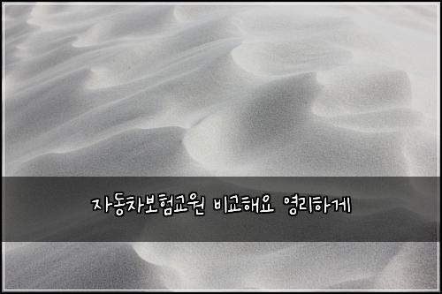 자동차보험교원 비교해요 영리하게