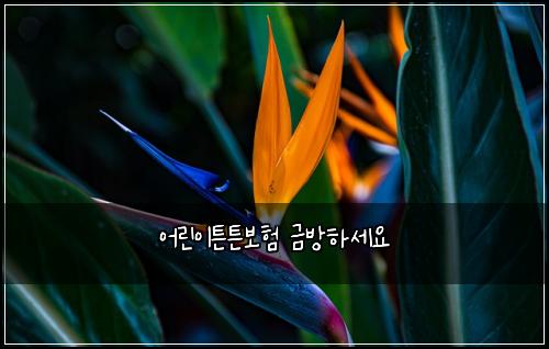์ด๋ฆฐ์ดํผํผ๋ณดํ ๊ธ๋ฐฉํ์ธ์