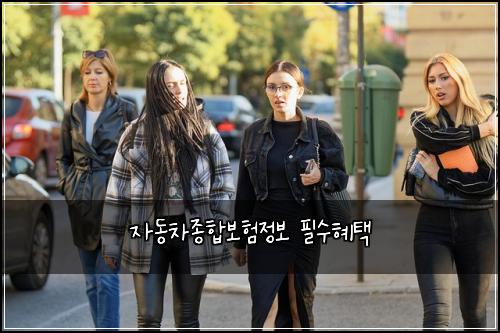 자동차종합보험정보 필수혜택