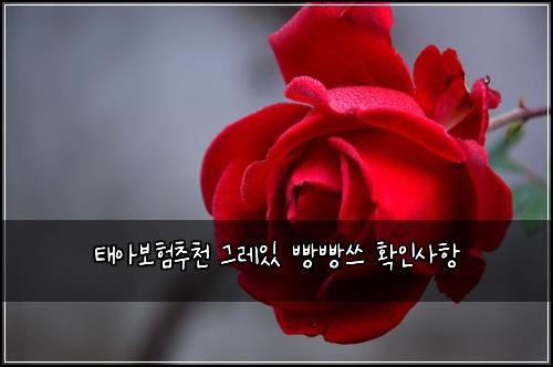 ํ์๋ณดํ์ถ์ฒ ๊ทธ๋ ์ ๋นต๋นต์ฐ ํ์ธ์ฌํญ