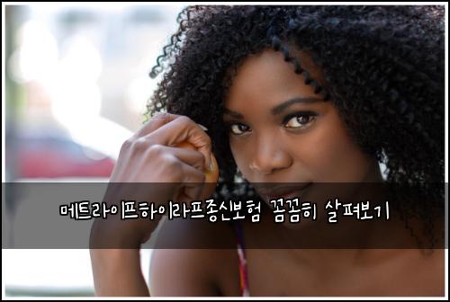 메트라이프하이라프종신보험 꼼꼼히 살펴보기