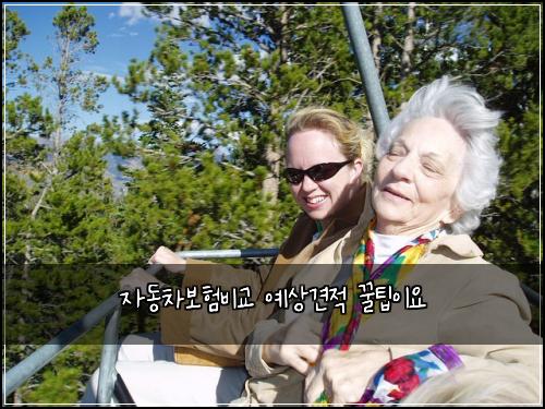 자동차보험비교 예상견적 꿀팁이요