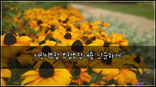 어린이보험 보험보장내용 단순하게