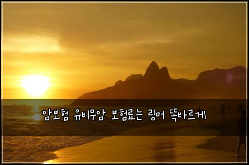 ์๋ณดํ ์ ๋น๋ฌด์ ๋ณดํ๋ฃ๋ ๋ง๋จธ ๋๋ฐ๋ฅด๊ฒ