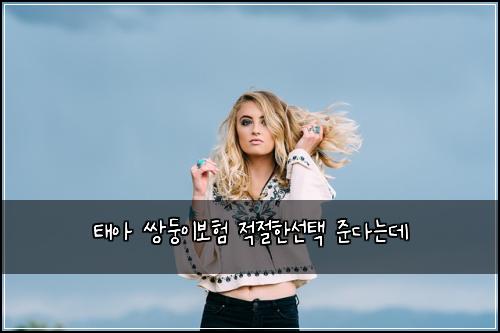태아 쌍둥이보험 적절한선택  준다는데