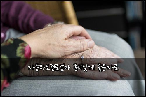 ์๋์ฐจ๋ณดํ๋ฃ์ผ๋ง ์ข๋๋ฎ๊ฒ ์ข์์๋ฃ