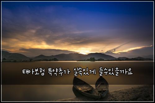 태아보험 특약추가  실속있게 들수있을까요