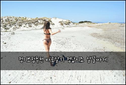 정기보험추천 바로알기 정답이죠 알뜰싸게