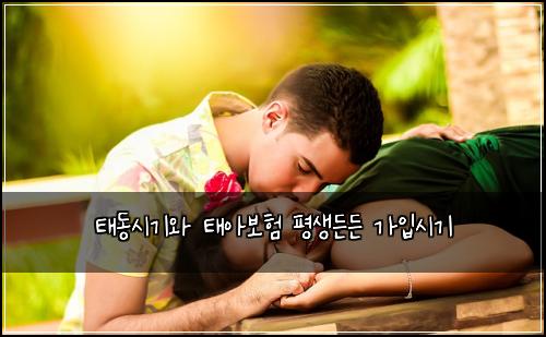ํ๋์๊ธฐ์ ํ์๋ณดํ ํ์๋ ๋ ๊ฐ์
์๊ธฐ