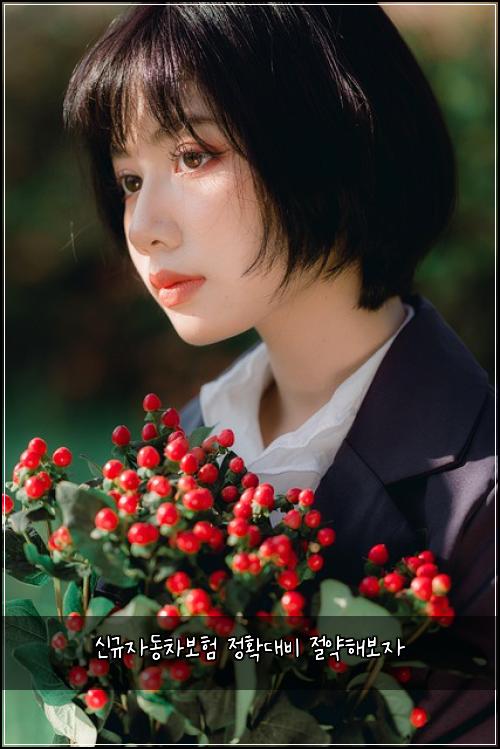 신규자동차보험 정확대비  절약해보자