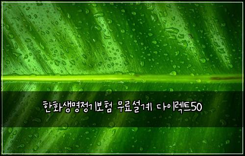 한화생명정기보험 무료설계  다이렉트50
