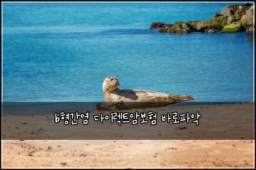 b형간염 다이렉트암보험 바로파악 
