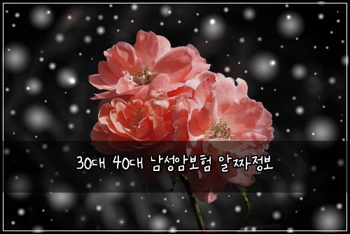30대 40대 남성암보험 알짜정보 