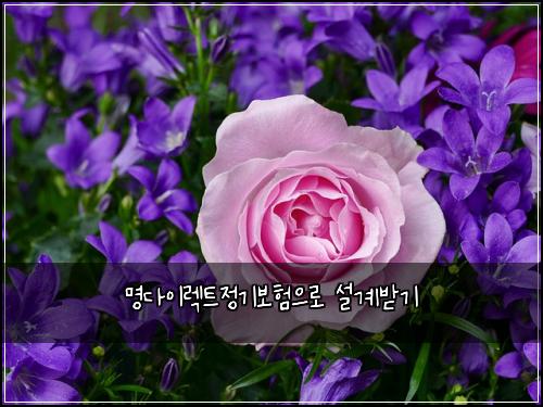 명다이렉트정기보험으로 설계받기