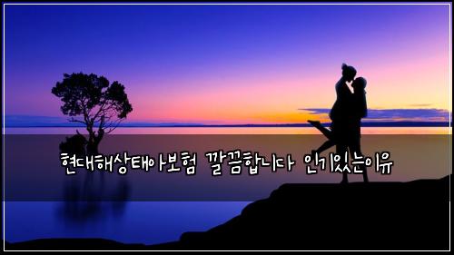 현대해상태아보험 깔끔합니다  인기있는이유