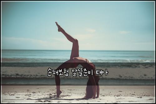 ์ํด๋ณดํ ์๋ฐ์ค๋น ํ์