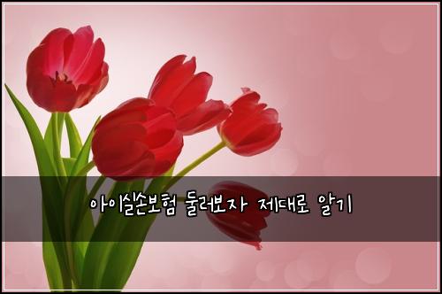 ์์ด์ค์๋ณดํ ๋๋ฌ๋ณด์ ์ ๋๋ก ์๊ธฐ