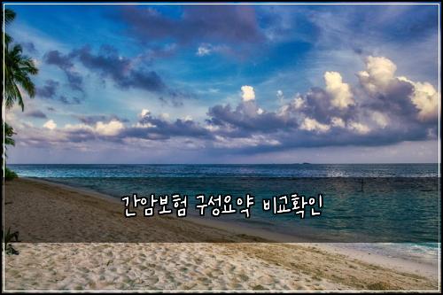 간암보험 구성요약  비교확인
