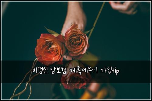 ๋น๊ฐฑ์ ์๋ณดํ ๊ณํ์ธ์ฐ๊ธฐ ๊ฐ์
tip