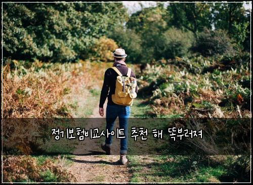์ ๊ธฐ๋ณดํ๋น๊ต์ฌ์ดํธ ์ถ์ฒ ํด ๋๋ถ๋ฌ์ ธ