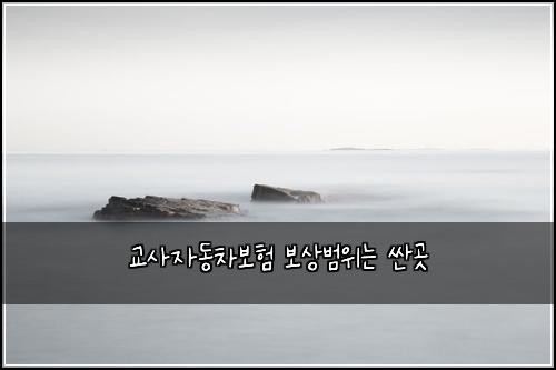 ๊ต์ฌ์๋์ฐจ๋ณดํ ๋ณด์๋ฒ์๋ ์ผ๊ณณ