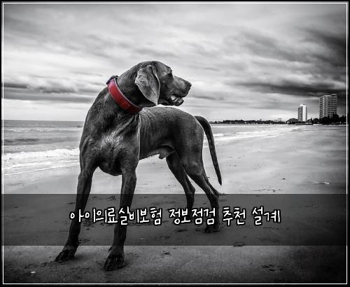 아이의료실비보험 정보점검  추천 설계