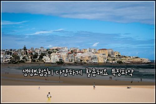생명보험실비 다양하게 활용해요 특징파악